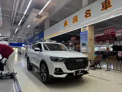 2023 Haval H6 1.5T AT Guochao Champion, белый — фото 3