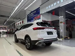 2023 Haval H6 1.5T AT Guochao Champion, белый — фото 7