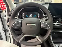 2023 Haval H6 1.5T AT Guochao Champion, белый — фото 22