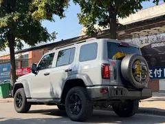2021 Tank 300 Off-road 2.0T Challenger — фото 4