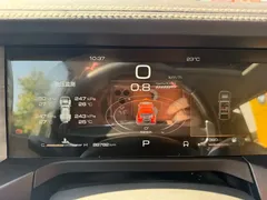 2021 Tank 300 Off-road 2.0T Challenger — фото 8