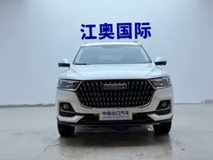 2023 Haval H6 1.5T AT Guochao Urban, белый — фото 2