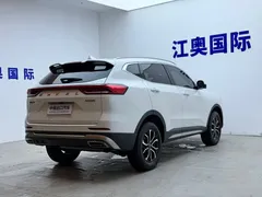 2023 Haval H6 1.5T AT Guochao Urban, белый — фото 18