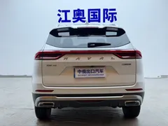 2023 Haval H6 1.5T AT Guochao Urban, белый — фото 19