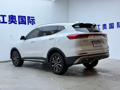 2023 Haval H6 1.5T AT Guochao Urban, белый — фото 21