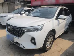 2021 Haval M6 Plus 1.5T DCT Luxury, белый — фото 1