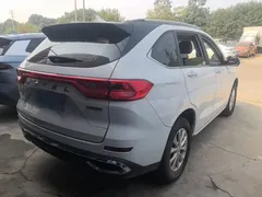 2021 Haval M6 Plus 1.5T DCT Luxury, белый — фото 7