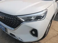 2021 Haval M6 Plus 1.5T DCT Luxury, белый — фото 24