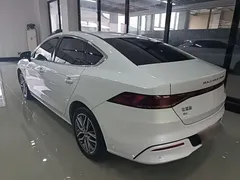 2024 BYD Qin PLUS Honor EV 510km Leading, белый — фото 5
