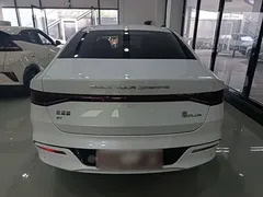 2024 BYD Qin PLUS Honor EV 510km Leading, белый — фото 6
