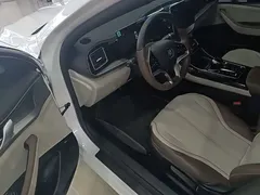 2024 BYD Qin PLUS Honor EV 510km Leading, белый — фото 16