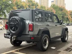 2021 Tank 300 Off-road 2.0T Conqueror — фото 4
