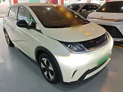 2025 BYD Dolphin 420km Freedom — фото 4