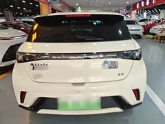 2025 BYD Dolphin 420km Freedom — фото 6