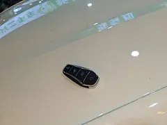 2025 BYD Dolphin 420km Freedom — фото 9