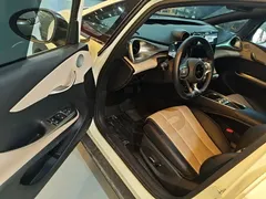 2025 BYD Dolphin 420km Freedom — фото 16