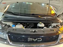 2025 BYD Dolphin 420km Freedom — фото 20