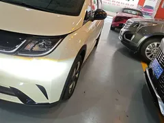 2025 BYD Dolphin 420km Freedom — фото 24