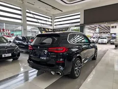 2022 BMW X5 30Li Premium M Sport Package, чёрный — фото 16