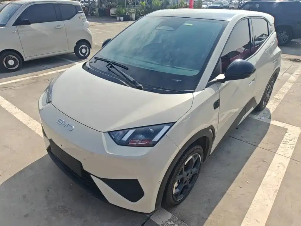 2025 BYD Seagull Smart Driving 305km Freedom