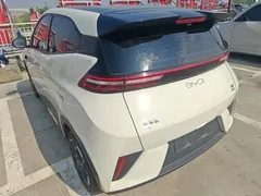 2025 BYD Seagull Smart Driving 305km Freedom, белый — фото 5