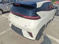 2025 BYD Seagull Smart Driving 305km Freedom, белый — фото 7