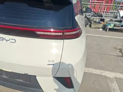 2025 BYD Seagull Smart Driving 305km Freedom, белый — фото 8