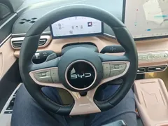 2025 BYD Seagull Smart Driving 305km Freedom, белый — фото 11