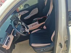 2025 BYD Seagull Smart Driving 305km Freedom, белый — фото 15
