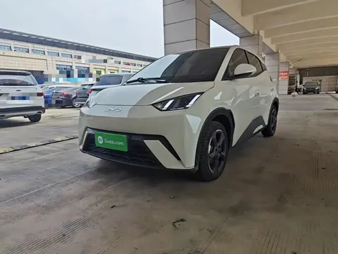 2024 BYD Seagull EV 305km Honor Freedom
