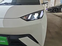 2024 BYD Seagull EV 305km Honor Freedom, белый — фото 24