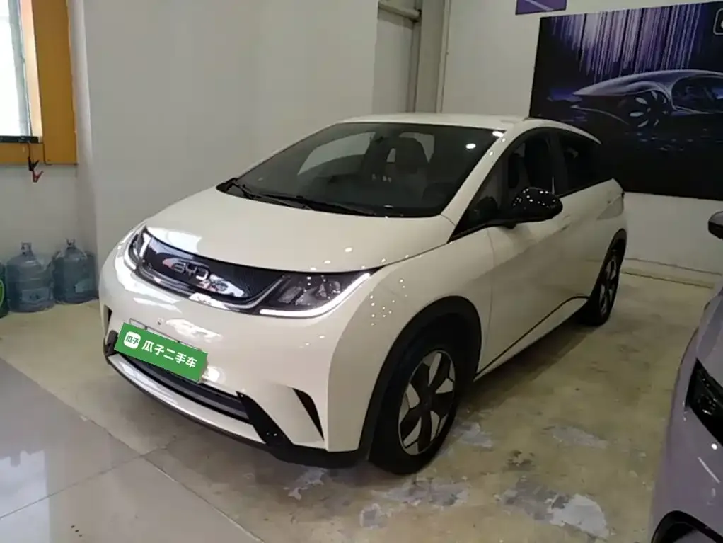 2025 BYD Dolphin 420km Freedom
