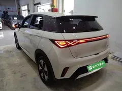 2025 BYD Dolphin 420km Freedom — фото 5