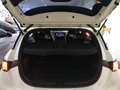 2025 BYD Dolphin 420km Freedom — фото 19
