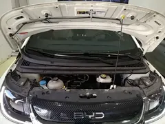 2025 BYD Dolphin 420km Freedom — фото 20