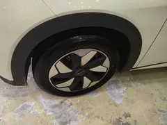 2025 BYD Dolphin 420km Freedom — фото 23