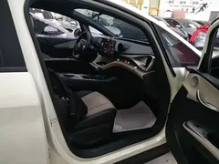 2025 BYD Dolphin 420km Freedom — фото 25
