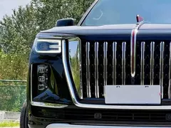 2022 Hongqi Guoyao 4.0T Elegant Qihang 6 seats, чёрный — фото 9