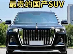 2022 Hongqi Guoyao 4.0T Elegant Qihang 6 seats, чёрный — фото 14