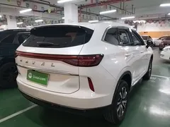 2021 Haval H6 3rd Gen 1.5T AT 2WD Max, белый — фото 7