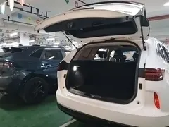 2021 Haval H6 3rd Gen 1.5T AT 2WD Max, белый — фото 19