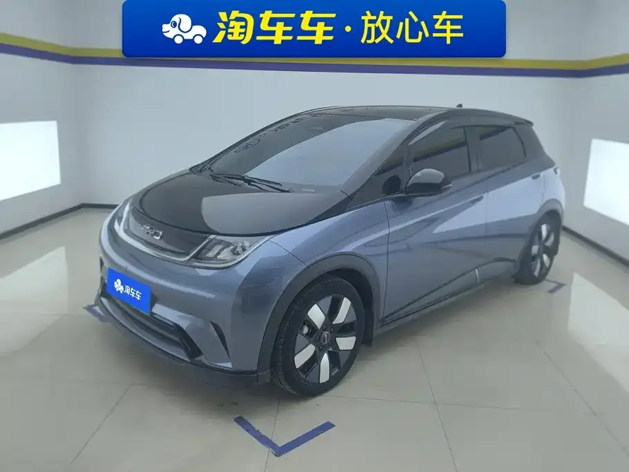 2025 BYD Dolphin EV 520km Knight