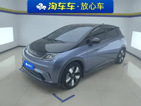 2025 BYD Dolphin EV 520km Knight