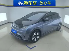 2025 BYD Dolphin EV 520km Knight — фото 1