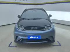 2025 BYD Dolphin EV 520km Knight — фото 2