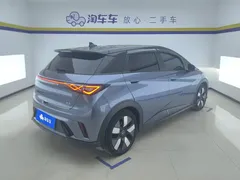 2025 BYD Dolphin EV 520km Knight — фото 3