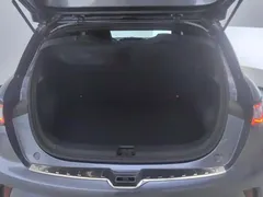 2025 BYD Dolphin EV 520km Knight — фото 4