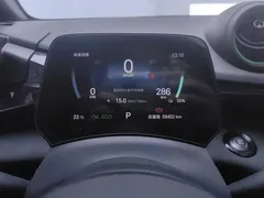 2025 BYD Dolphin EV 520km Knight — фото 14