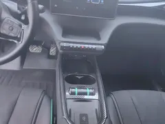 2025 BYD Dolphin EV 520km Knight — фото 16