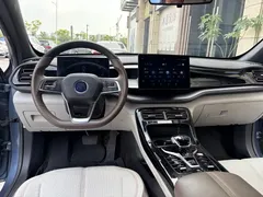 2024 BYD Qin PLUS Honor DM-i PHEV 55km Leading — фото 8